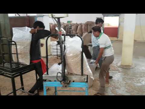 download lagu mp3 mp4 Chickpeas 12mm, download lagu Chickpeas 12mm gratis, unduh video klip Chickpeas 12mm