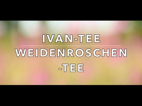 Nebenwirkungen Prostamol Wie Prostata-Massage Video selbst zu tun