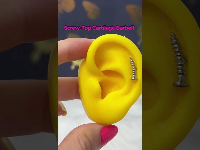 Vídeo relacionado con WARRIOR Piercing Herradura Circular/Curva Estéril Barbell Diámetro 6 mm Solo Apto para Trago Hélix Septum en Acero Quirúrgico 316L estéril 16G (1,2 mm) (6)