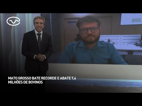 Mato Grosso bate recorde e abate 7,4 milhões de bovinos em 2025