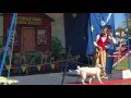 Johnny Peers And The Muttville Comix Performs At Cairo S Apple Festival