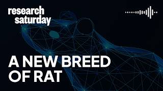 A new breed of RAT.