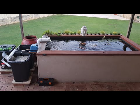 My Koi pond and filter setup