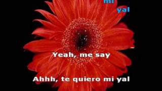 Sir Speedy - Te quiero mi yal (letra) (lyrics)