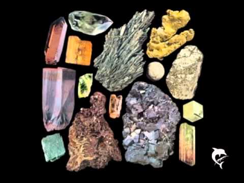 Massimiliano Pagliara - I'll never be