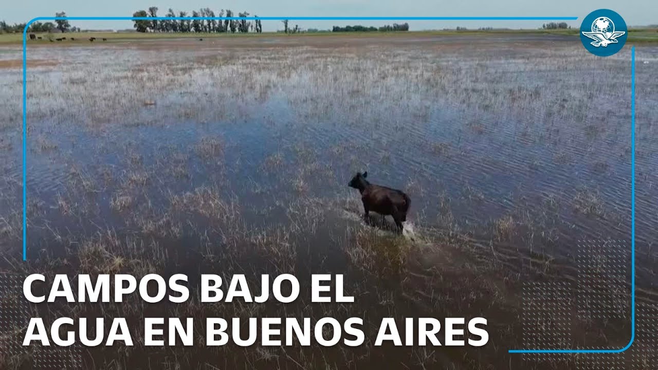 Lluvias ponen en riesgo la cosecha de soja y maíz en Buenos Aires