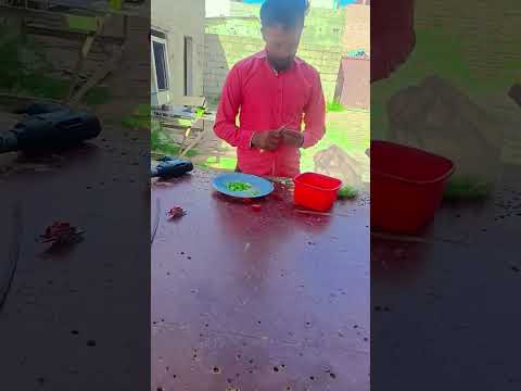 wady masly roti dy💔kb ami k hath ka bana khain gy😭#short #youtubeshort