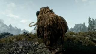 Skyrim-За кадром