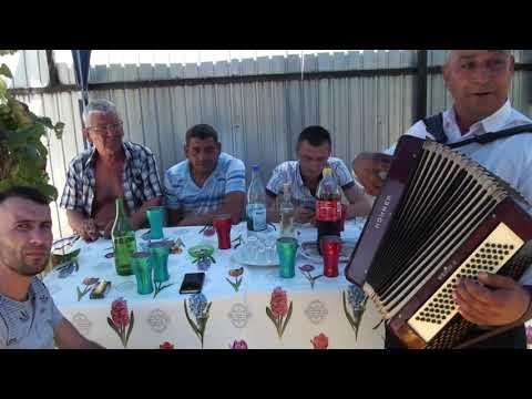 2 NUNTA LUI MARIUS SI NARCISA DIN CIORANI