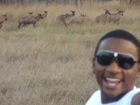 Pettidee & Lil' Prophet in the Jungle!