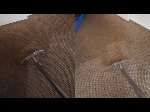 Pace Specialist Cleaners - Carpet Cleaning video.
