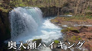 奥入瀬ハイキング