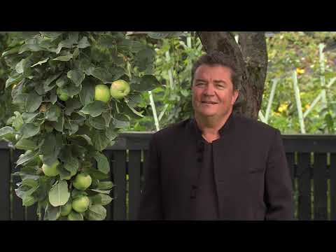 Karl Madis - Elukarneval