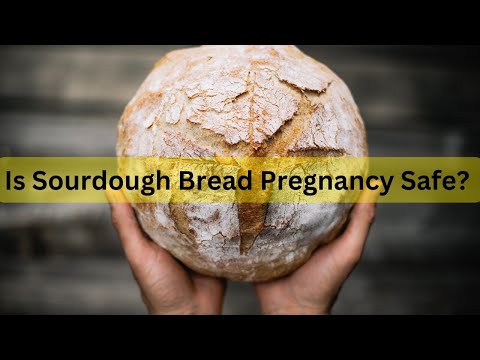 From Cravings to Concerns: Debunking Myths on Sourdough Breads for Pregnant Women