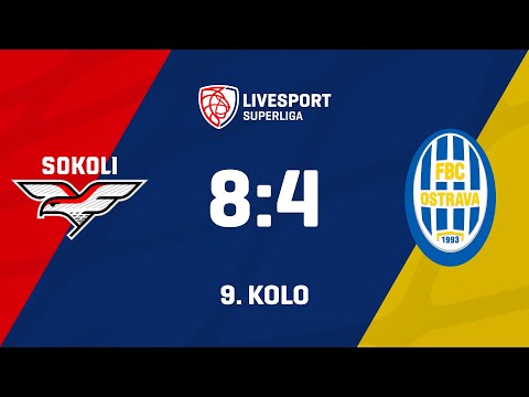 9. kolo | SOKOLI Pardubice - FBC ČPP OSTRAVA 8:4