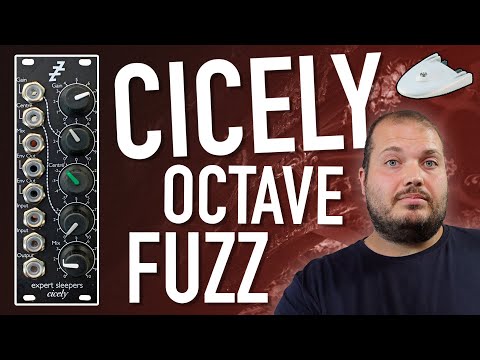 Octavia Fuzz in Eurorack with bags of character! // Cicely by Expert Sleepers
