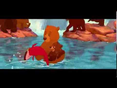 Frères Des Ours - Bienvenue - Misc Cartoons