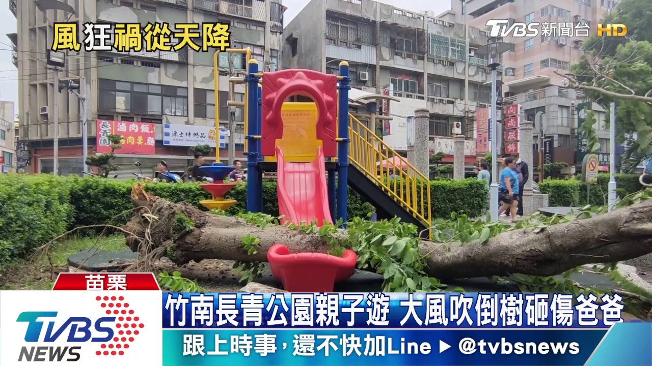 碰!攜孩公園玩遭樹砸 疑陣風襲釀樹倒