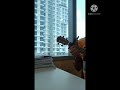 Selamat Malam Suzanna Ukulele Cover