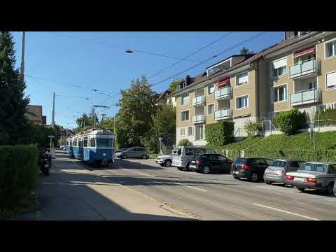 Die Mirages sind unterwegs beim Eschergutweg in Richtung Albisgütli