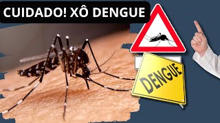[XÔ DENGUE] Repelentes na Linha de Frente: Combatendo a Dengue em Meio ao Crescente Desafio