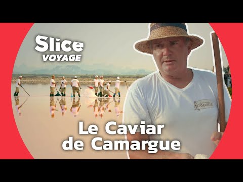 Fleur de Sel: the pink gold of Camargue I SLICE VOYAGE