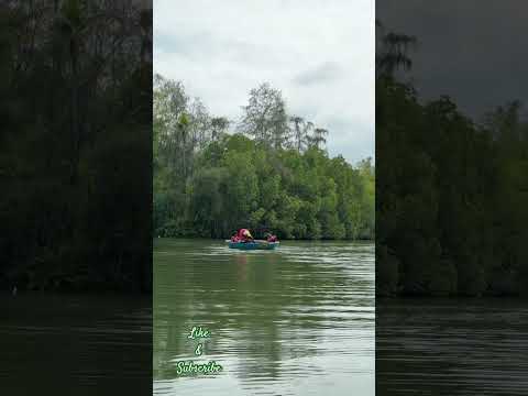 Backwater Parisal Vibes | Kerala’s Floating Wonder #trending #travel #song #reels #shorts #ride