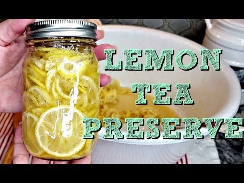 download lagu mp3 mp4 Citrus Mama, download lagu Citrus Mama gratis, unduh video klip Citrus Mama