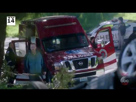 Grey's Anatomy 14x23 Extended Promo - Cold as Ice