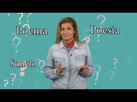 Poesia, poema e soneto