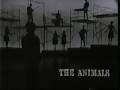 The Animals - Boom Boom (Live, 1965)  ♫♥