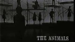 The Animals - Boom Boom (Live, 1965)  ♫♥