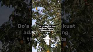Download lagu Kesempurnaan dalam do'a #quotes #katahatimotivasi #motivasi #catatanmotivasi #katamutiara #shorts mp3