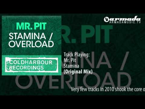 Mr. Pit - Stamina (Original Mix)