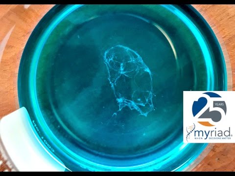 Extracting your own DNA at home -- Myriad Genetics