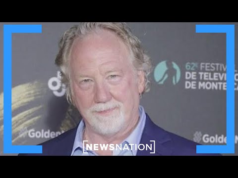 Feds join search for actor Timothy Busfield amid child sex abuse allegations | NewsNation Live