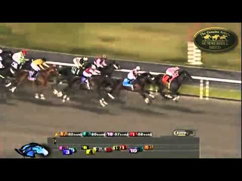 MAHUBO : MEYDAN FREEZONE 2010