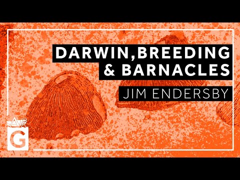 Darwin, Breeding and Barnacles