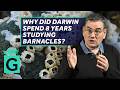 Darwin Breeding And Barnacles