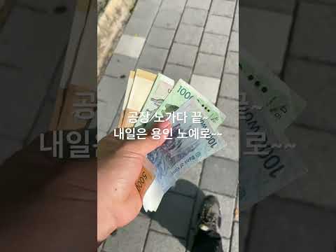 용인 하이닉스 노예로 드가자잇~#숙노#고덕#평택#노가다#용인#반도체#코인#주식