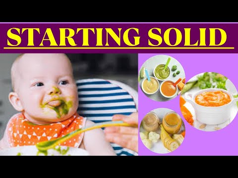 BABY’S FIRST FOOD - The Complete Guide to Starting Solids  🍊🍯