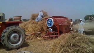 preview picture of video 'Season of Wheet cutting in Pakpattan Shreef پاک پتن وچ واڈھیاں دی رُت'