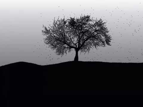 Naicen (Maldita Gravedad) - Árbol negro