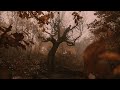 A Playlist For Living In An Eternal Autumn