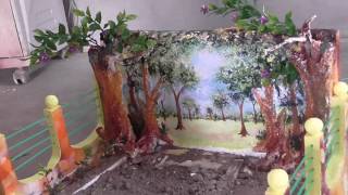 How to Make Tree Plantation School Project part 6 of 8