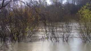 preview picture of video 'Darlington - River Skerne Flooding 27th November 2012'