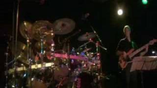 Counter-World Experience - Decade of the brain Live 2008