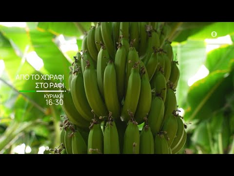 Από το Χωράφι στο Ράφι | Κυριακή 11/5, στις 16:30 | ΕΡΤ3