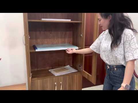 Tủ Văn Phòng 2 Cánh Gỗ Công Nghiệp - THS9