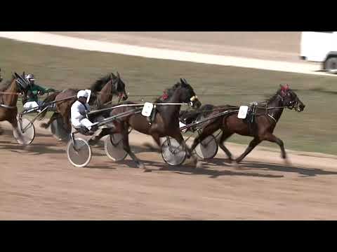 2021.04.10. 02. futam - MIKI DÍJ